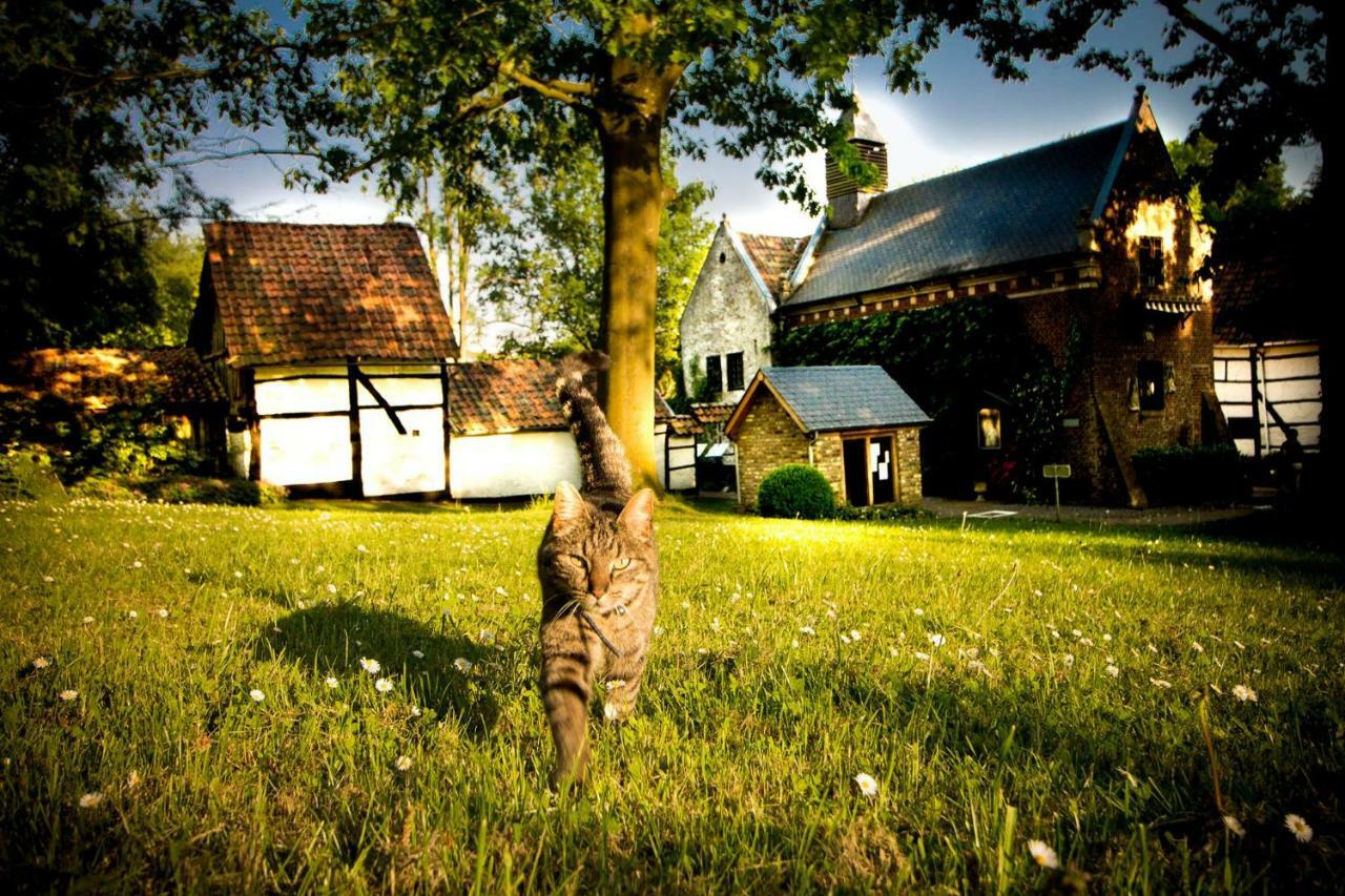B&B De Bloesem Hoeselt Exterior foto